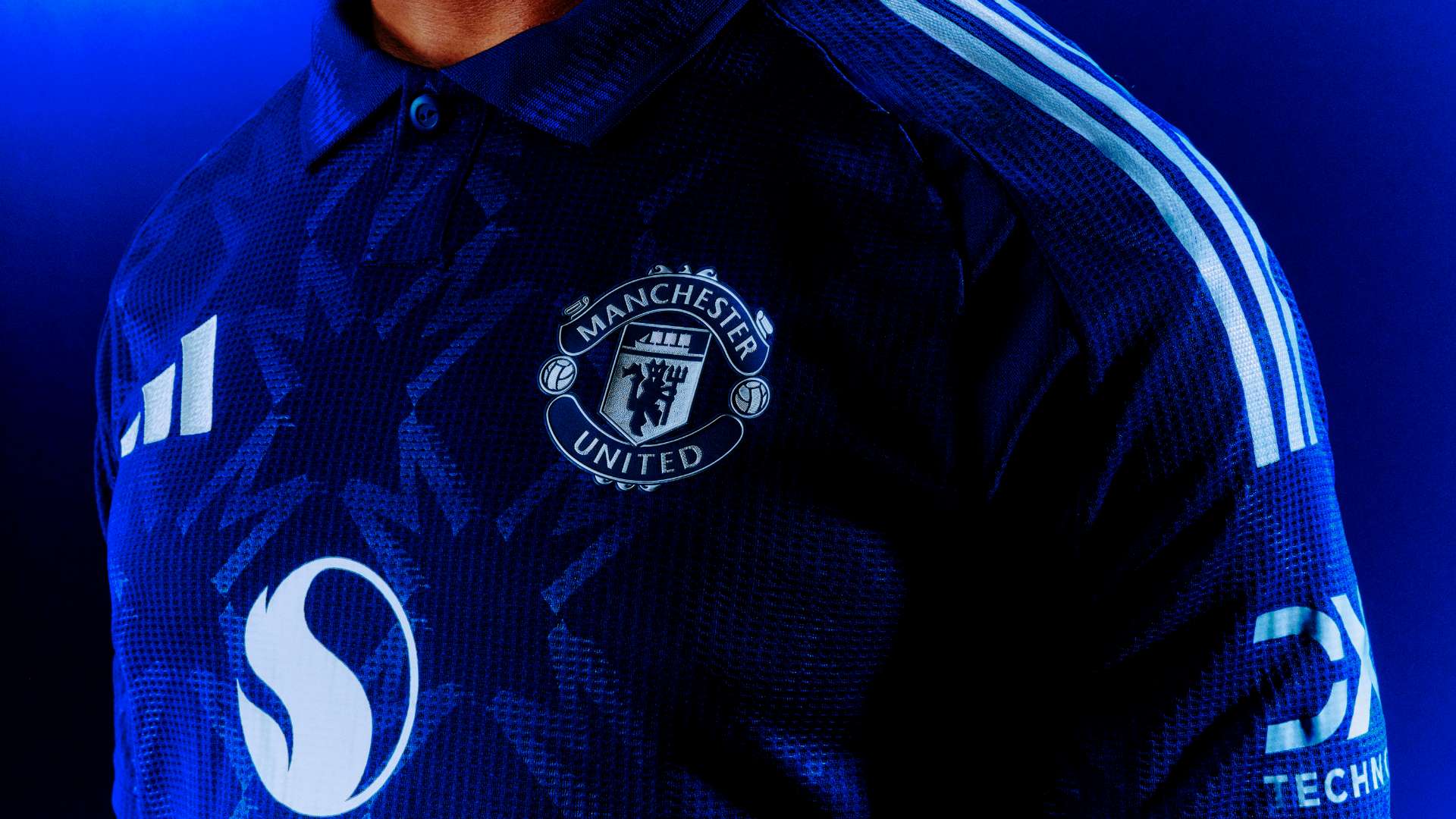 将有望得到 将有望得到