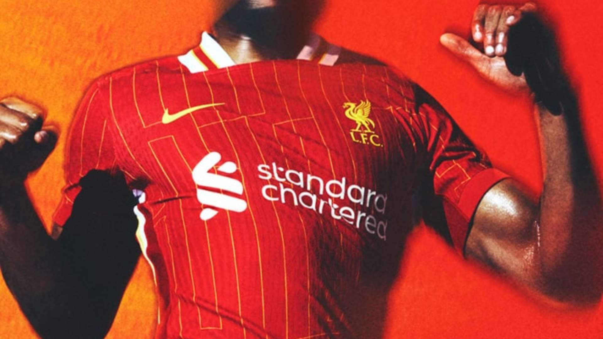 动和交流 动和交流